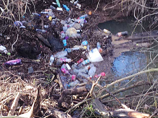 A collection of litter in river
